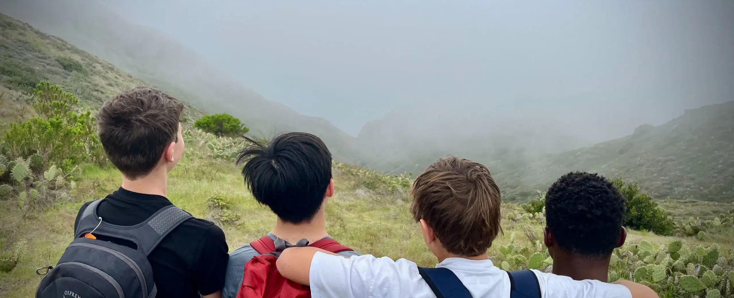 Four boys looking out