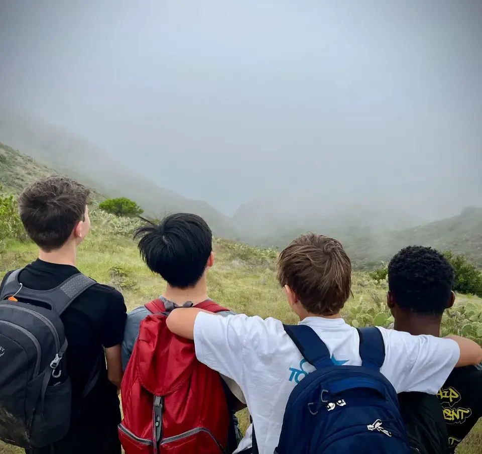 Four_boys_looking_into_the_mist