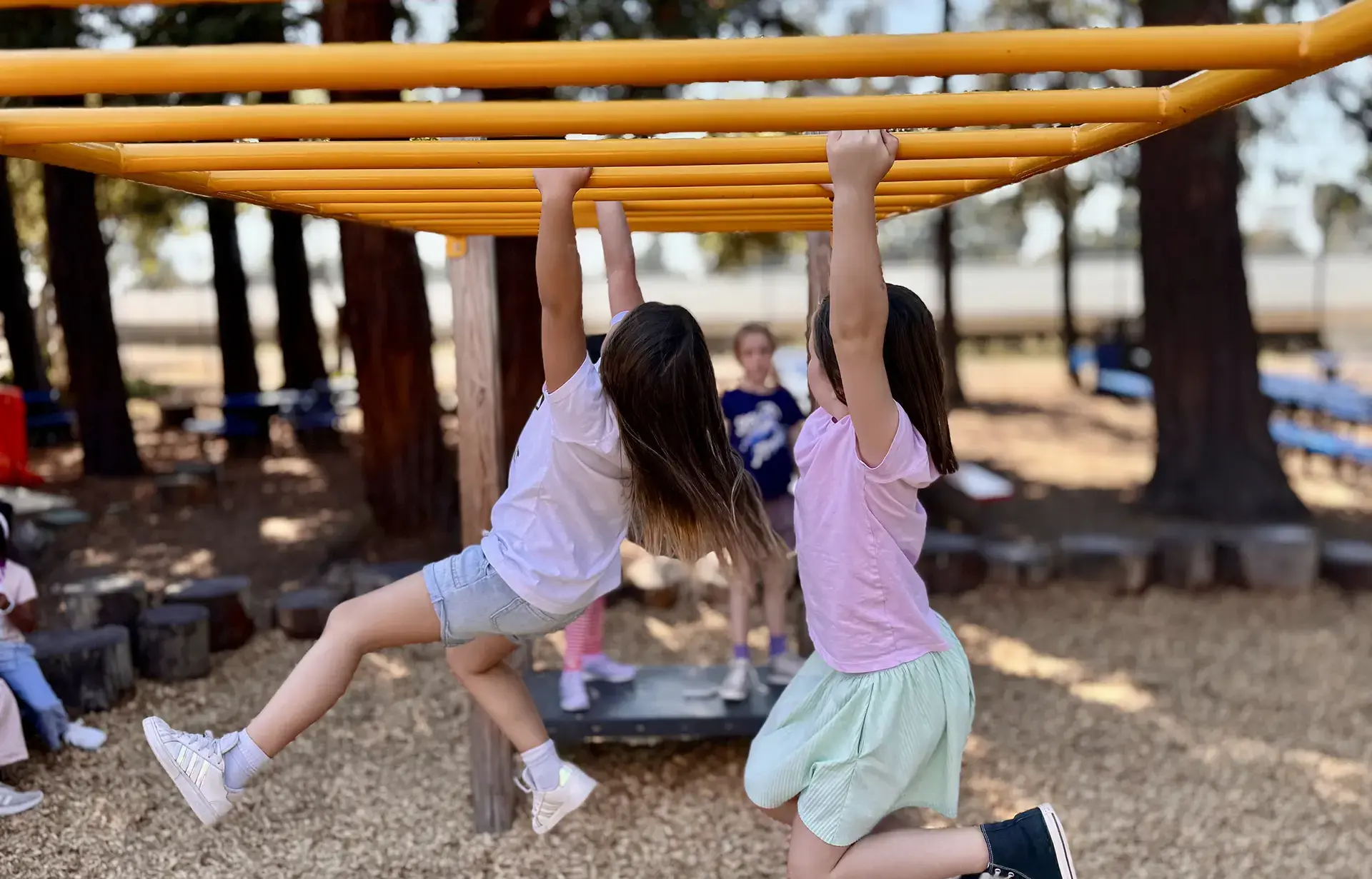Monkey bars